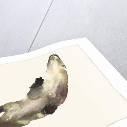 Swimming Above by Mark Adlington