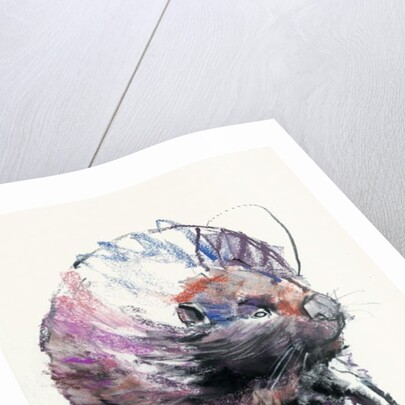 Beaver, 2001 by Mark Adlington