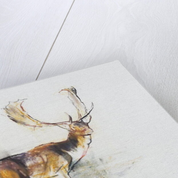 Study of a Stag by Mark Adlington