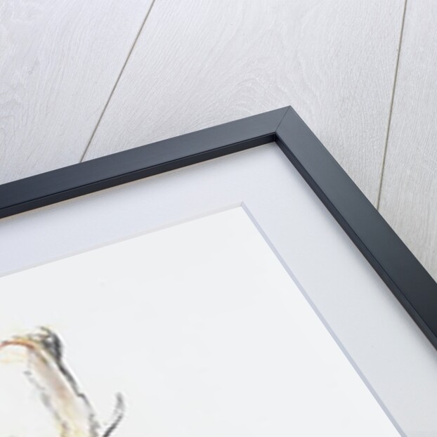 Study of a Stag by Mark Adlington