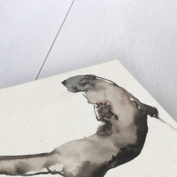 Back Awash by Mark Adlington