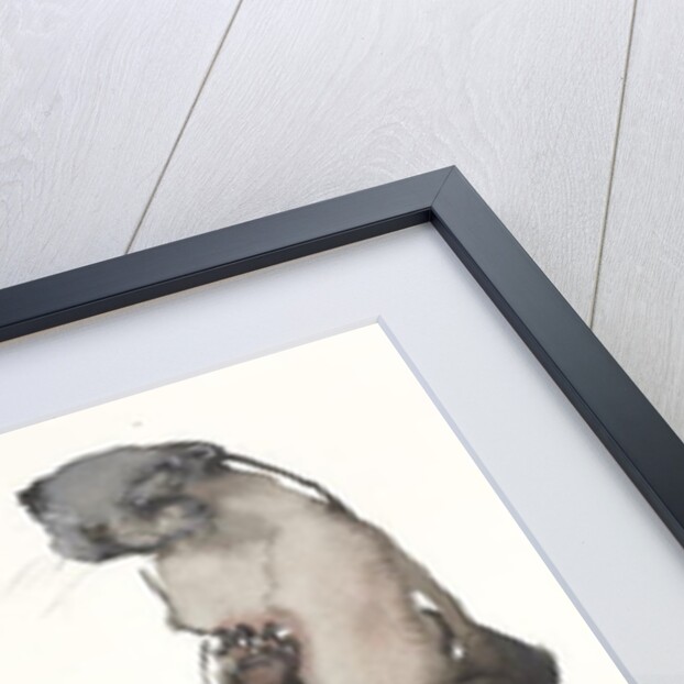 Back Awash by Mark Adlington