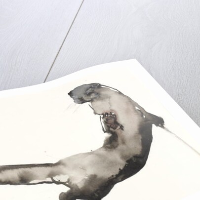 Back Awash by Mark Adlington