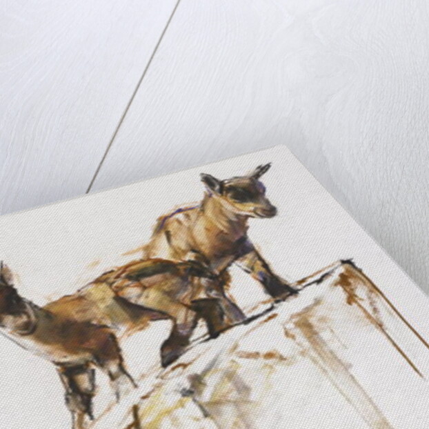 Rock Play, 2005 by Mark Adlington