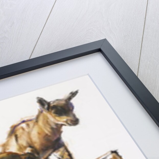 Rock Play, 2005 by Mark Adlington