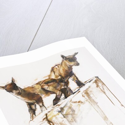 Rock Play, 2005 by Mark Adlington