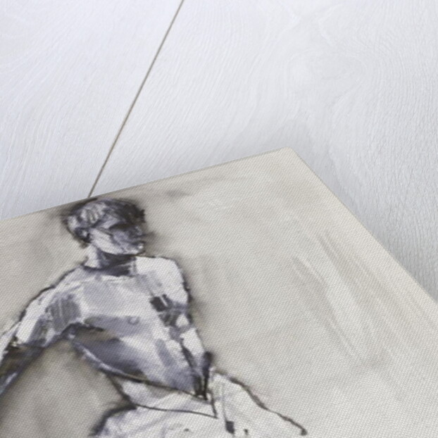 Swan Lake, 2001 by Mark Adlington