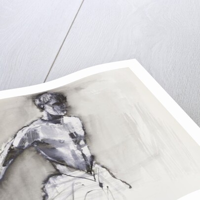 Swan Lake, 2001 by Mark Adlington