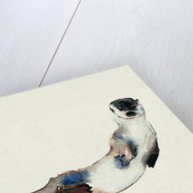 Curious Otter, 2003 by Mark Adlington