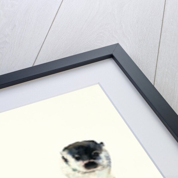 Curious Otter, 2003 by Mark Adlington