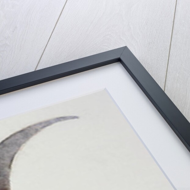 Slipstream by Mark Adlington