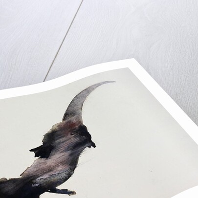 Slipstream by Mark Adlington