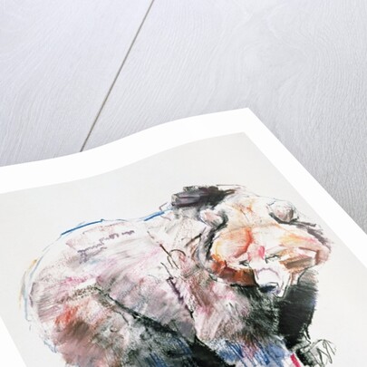 Bear by Mark Adlington