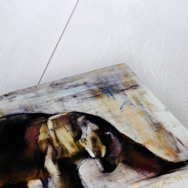 Arctic, 1999 by Mark Adlington