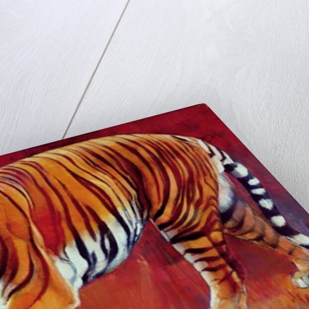 Bengal Tiger by Mark Adlington