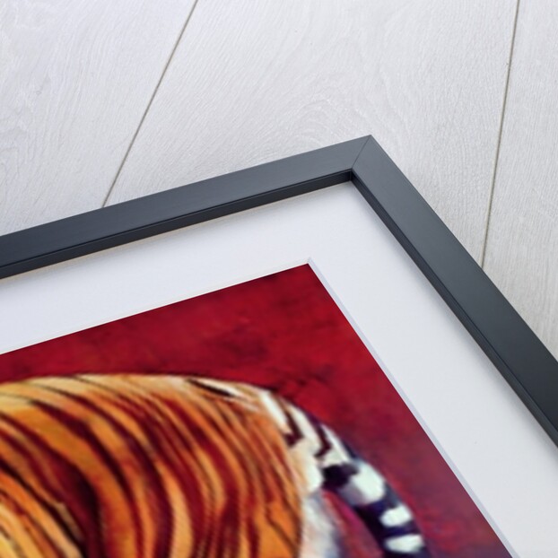 Bengal Tiger by Mark Adlington