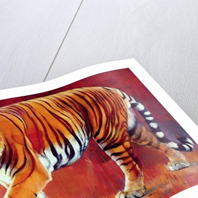 Bengal Tiger by Mark Adlington