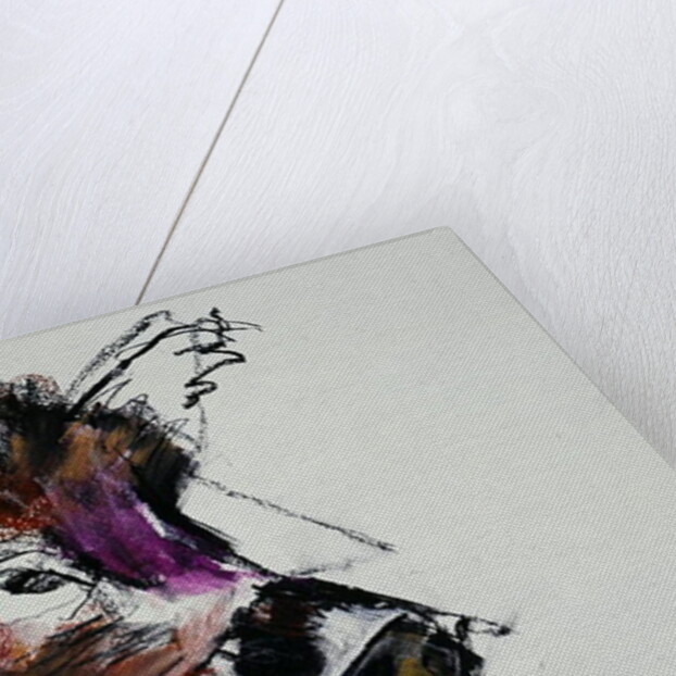 Dzik, 1990s by Mark Adlington