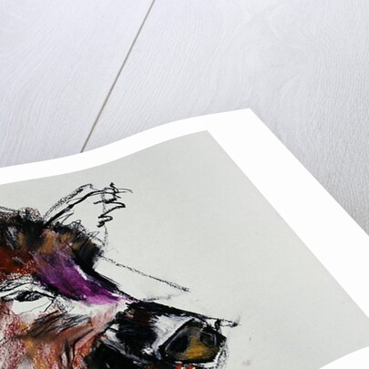 Dzik, 1990s by Mark Adlington