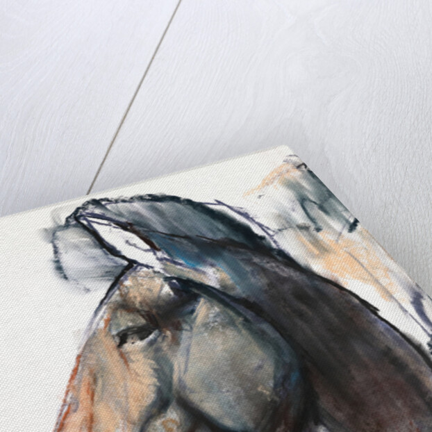 Head Study, Przewalski, 2013 by Mark Adlington