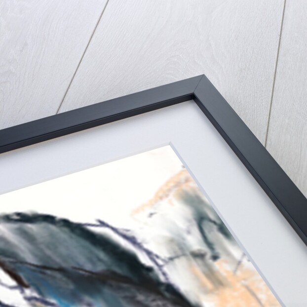 Head Study, Przewalski, 2013 by Mark Adlington