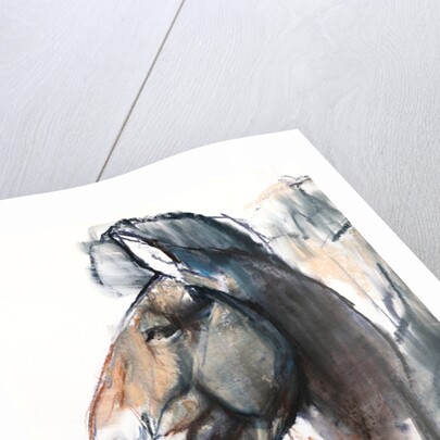 Head Study, Przewalski, 2013 by Mark Adlington