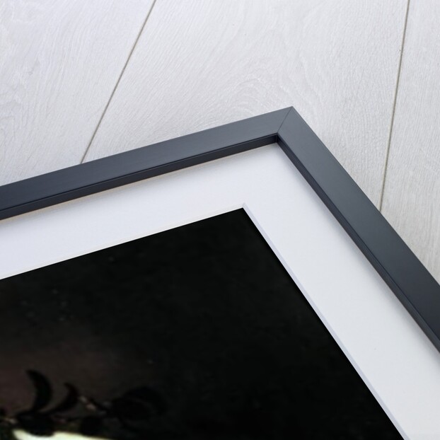 Still life of Papaya, Watermelon and Cashew by Agostino Jose da Mota