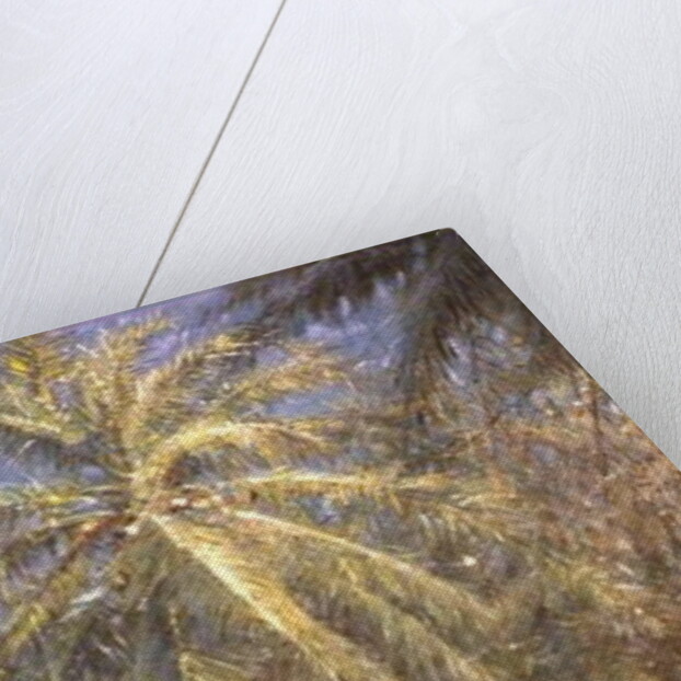 The Story of the Shipwreck from Robinson Crusoe by Albert Goodwin