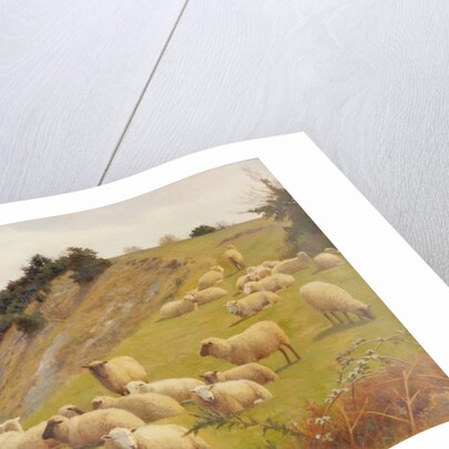 A Riverside Pasture with Sheep by William Sidney Cooper