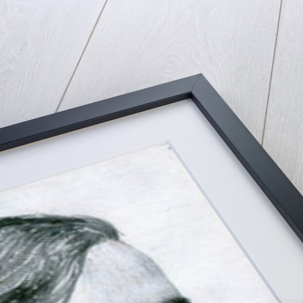 Study for the Head of Valentine, 1880 by William Holman Hunt