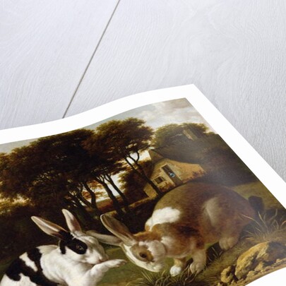 Two Rabbits in a Landscape, c.1650 by Haarlem School