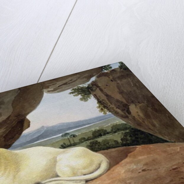 Lioness by Samuel Howitt