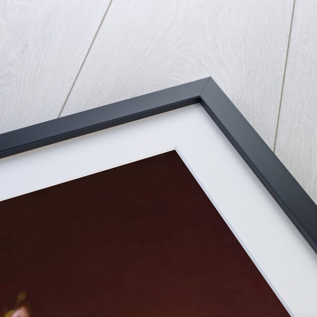 Roses on a Stone Ledge by Jean-Louis Prevost