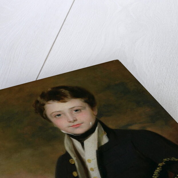 Portrait of a Midshipman by Martin Archer Shee
