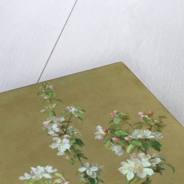 Apple Blossom by Jean Benner