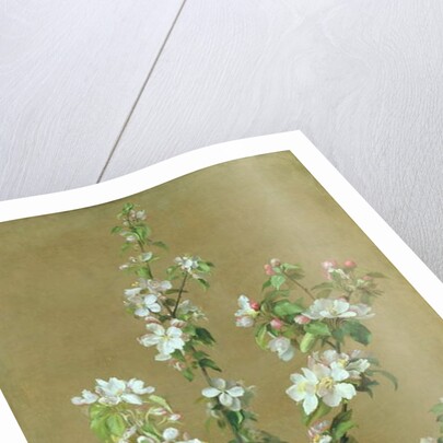 Apple Blossom by Jean Benner