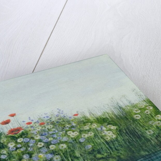 Poppies by a Stream by Andrew Nicholl