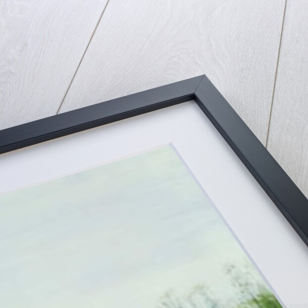 Poppies by a Stream by Andrew Nicholl