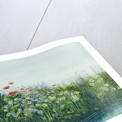 Poppies by a Stream by Andrew Nicholl