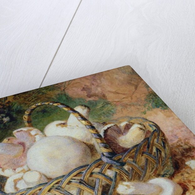 A Basket of Mushrooms, 1871 by Jabez Bligh