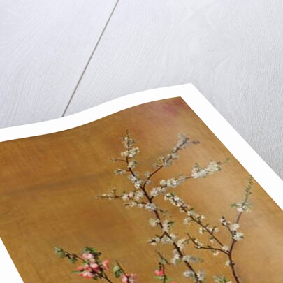 Japanese Cherry Tree and Hawthorn Branches by Jean Benner