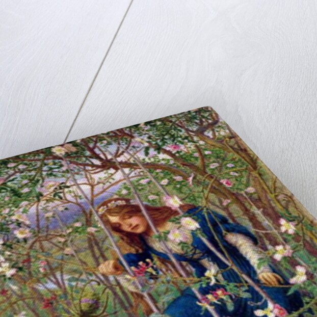 The Briar Wood by Woodbine K. Hinchliff