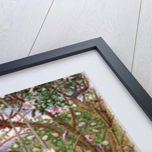 The Briar Wood by Woodbine K. Hinchliff