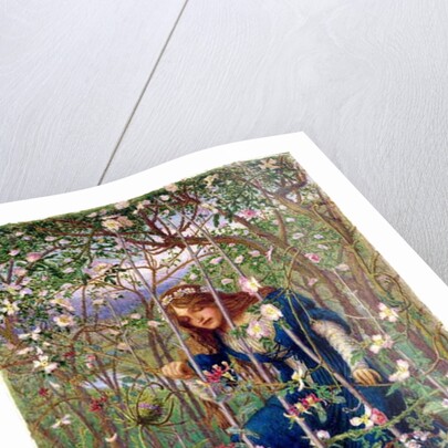 The Briar Wood by Woodbine K. Hinchliff