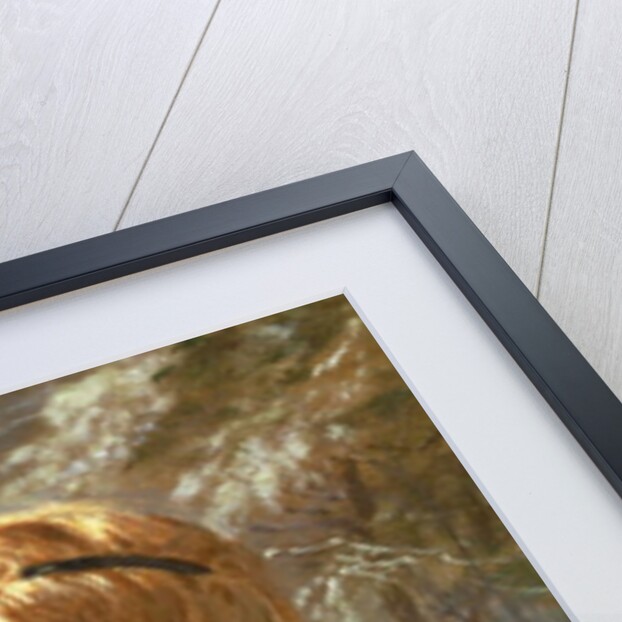 A New Friend, 19th century by Sophie Anderson