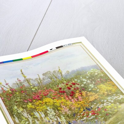 A Herbaceous Border by Helen Allingham