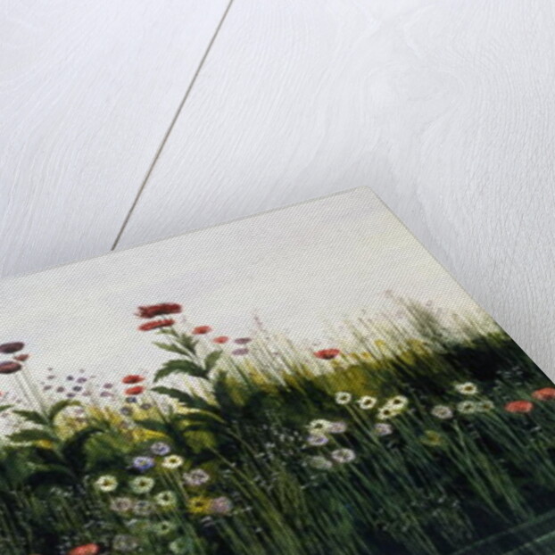 Poppies, Daisies and Thistles on a River Bank by Andrew Nicholl