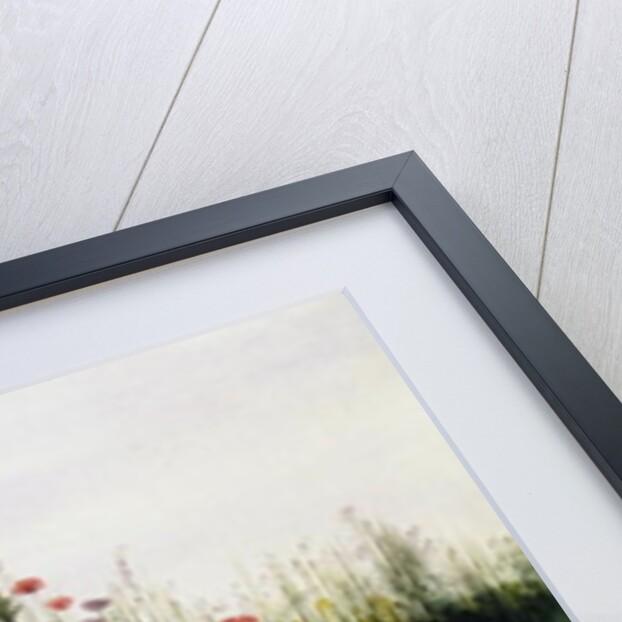 Poppies, Daisies and Thistles on a River Bank by Andrew Nicholl