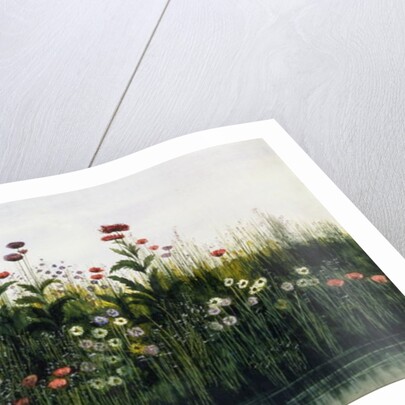 Poppies, Daisies and Thistles on a River Bank by Andrew Nicholl