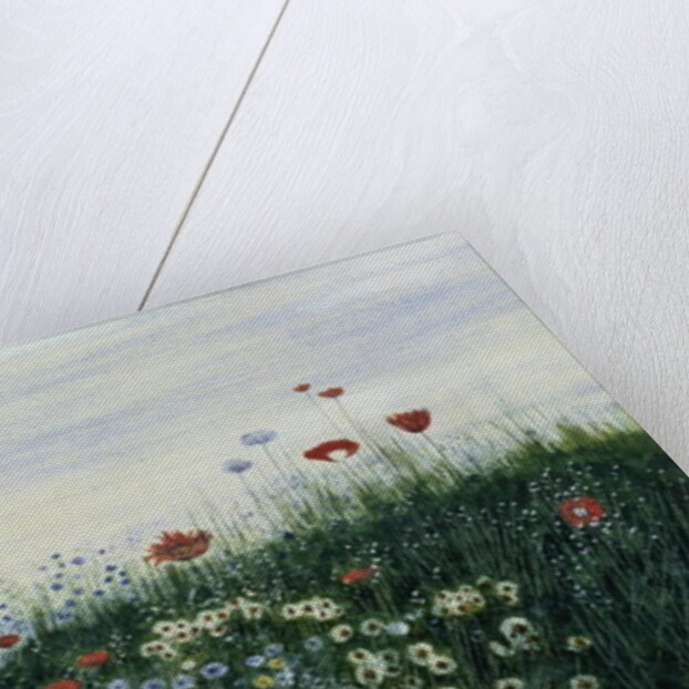 Poppies, Daisies and other Flowers by the Sea by Andrew Nicholl